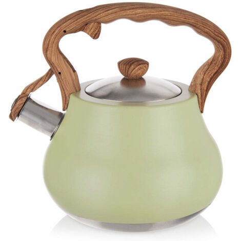 Kettle with whistle, steel, GREENISH, 3 l
