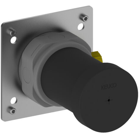 Keuco Accessoires - Corps d'encastrement DN15 59541000170