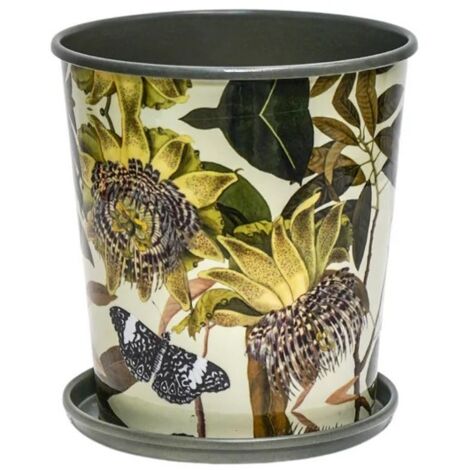 Kew Botanical Retreat Planter with Saucer - Mild Steel - L14 x W14 x H16 cm - Green