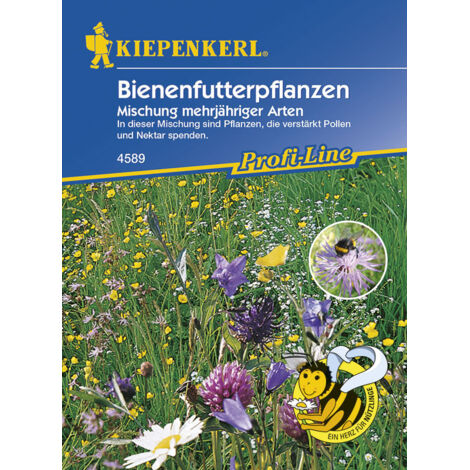 Kiepenkerl Bienenfutterpflanze mehrjährig Inhalt  5 - 8 m² Keine Angabe