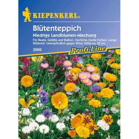 Kiepenkerl Blumenmischung Blütenteppich