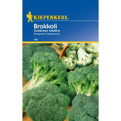 KIEPENKERL® Brokkoli Calabrese natalino - Gemüsesamen