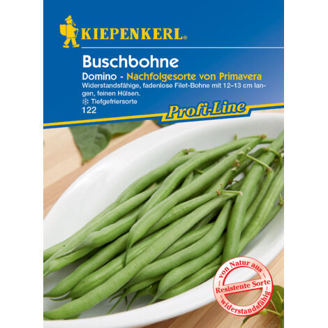 Kiepenkerl Buschbohne Domino 6-8 lfd. Meter