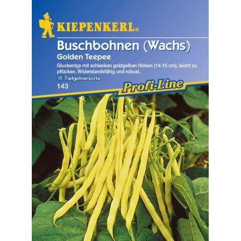 Kiepenkerl Buschbohne Golden Teepee Phaseolus vulgaris var. nanus, Inhalt ca. 8-10 lfd. Meter Obst- & Gemüsesamen