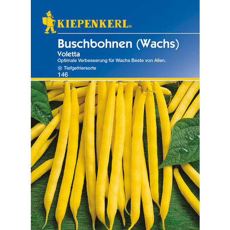 KIEPENKERL® Buschbohnen Wachs Voletta - Gemüsesamen