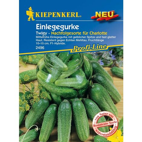 KIEPENKERL® Einlegegurken Twigy F1 - Hybride - Gemüsesamen
