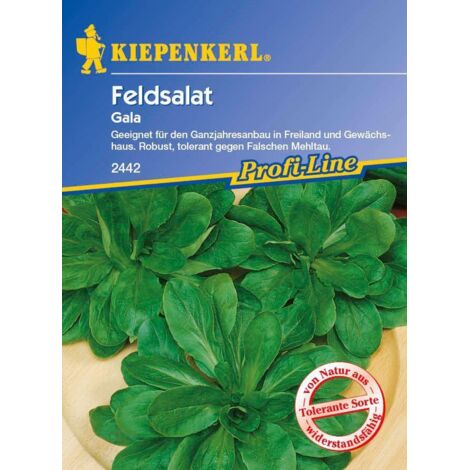 Kiepenkerl Feldsalat Gala Valerianella locusta, Inhalt ca. 5 lfd. Meter Obst- & Gemüsesamen