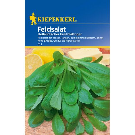 KIEPENKERL® Feldsalat Holländischer breitblättriger - Gemüsesamen