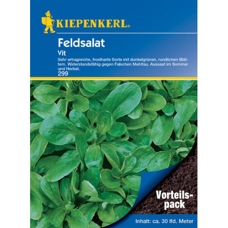 Kiepenkerl Feldsalat Vit Vorteilspack ca. 30 lfd. Meter Gemüsesamen