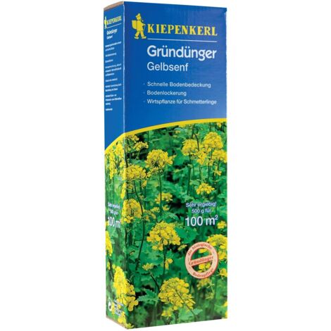 Kiepenkerl Gründünger Gelbsenf Sinapis alba, Inhalt  500 g Keine Angabe