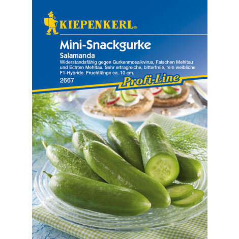 KIEPENKERL® Gurken Salamanda - Gemüsesamen