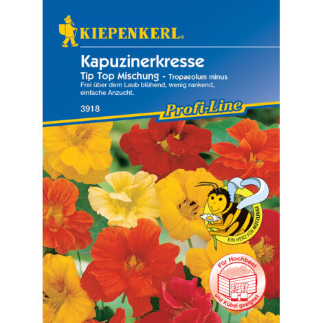 Kiepenkerl Kapuzinerkresse Tip Top Mischung Tropaeolum minus, Inhalt  ca. 20 Pflanzen Blumensamen