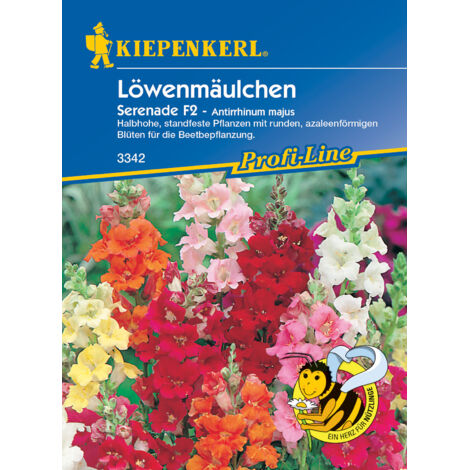 Kiepenkerl Löwenmäulchen Serenade F1 ca. 80 Pflanzen Blumensamen