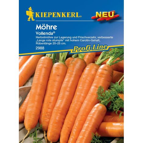 Kiepenkerl Möhre Vollenda Darina
