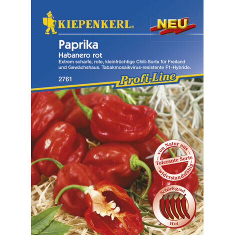 Kiepenkerl Paprika Habanero rot Capsicum chinense, Inhalt  7 Korn Gemüsesamen