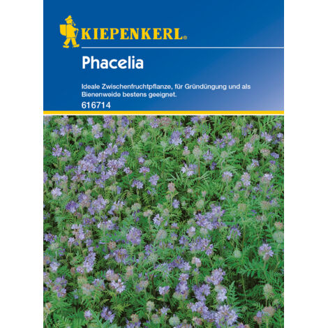 Kiepenkerl Phacelia 50 Gr Inhalt 50 g Blumensamen