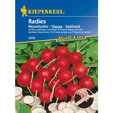 KIEPENKERL® Radies Riesenbutter / Vitessa Saatband - Gemüsesamen