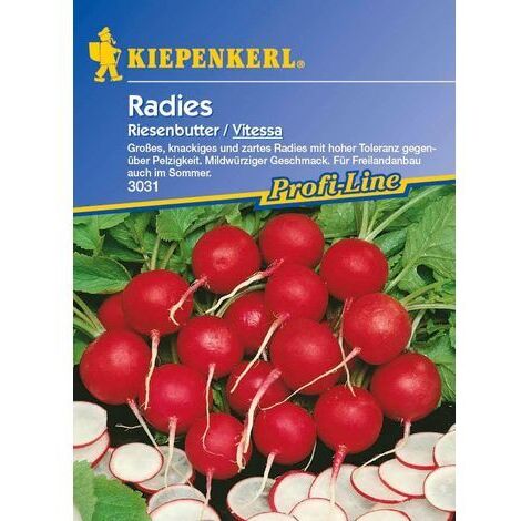 Kiepenkerl Radieschen Riesenbutter Vitessa Raphanus sativus var. sativus, Inhalt  ca. 10 lfd. Meter Saatgut