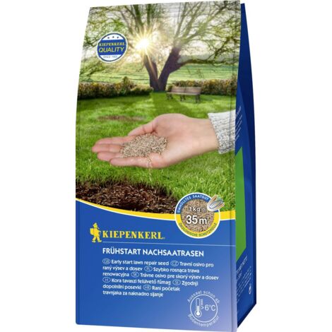 Kiepenkerl Rasensamen Frühstart Nachsaatrasen 1 kg, für 35 m² 0
