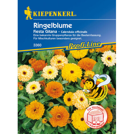 Kiepenkerl Ringelblume Fiesta Gitana
