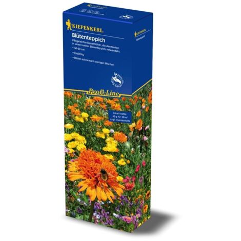 Kiepenkerl Saatgut Blütenteppich ca. 50 qm Blumensamen