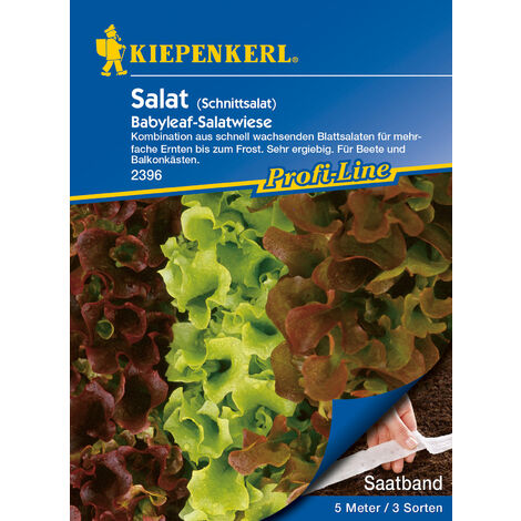 KIEPENKERL® Salat Baby-Leaf Salatwiese - Saatband - Gemüsesamen
