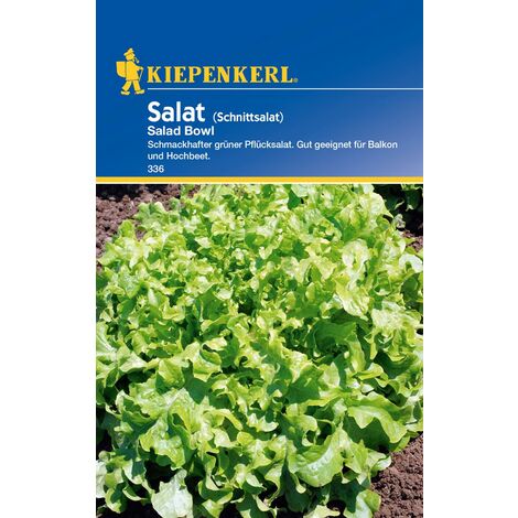 KIEPENKERL® Salat Schnittsalat Salad Bowl - Gemüsesamen