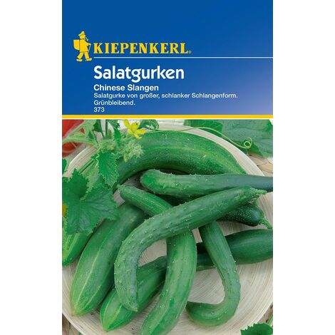 KIEPENKERL® Salatgurken Chinese Slangen - Gemüsesamen