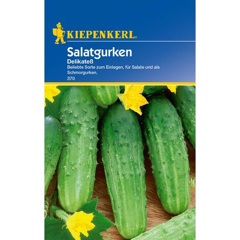 KIEPENKERL® Salatgurken Delikateß - Gemüsesamen
