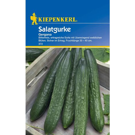KIEPENKERL® Salatgurken Gergana - Gemüsesamen