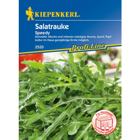 KIEPENKERL® Salatrauke Speedy - Gemüsesamen