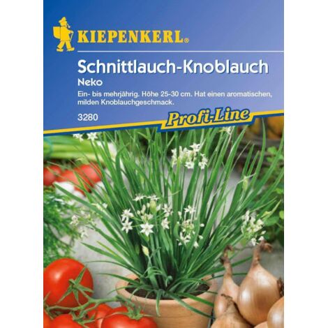 Kiepenkerl Schnittknoblauch Neko
