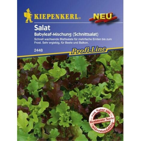 Kiepenkerl Schnittsalat Babyleaf-Mischung Lactuca sativa var. capitata, Inhalt  ca. 3 lfd. Meter Gemüsesamen