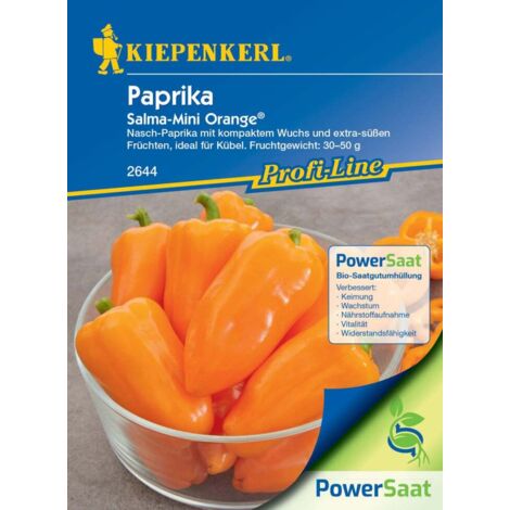 Kiepenkerl Snack Paprika Salma Mini orange F1 Gemüsesamen