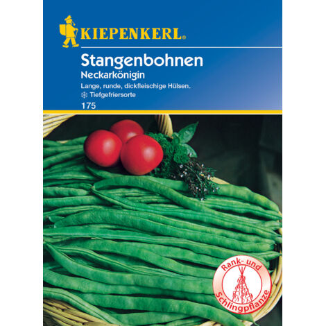 Kiepenkerl Stangenbohne Neckarkönigin 15-20 Stangen