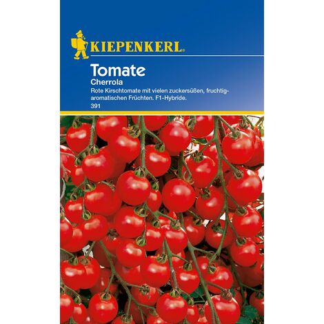 KIEPENKERL® Tomaten Cherrola - Gemüsesamen