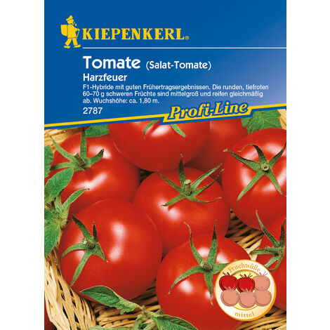 KIEPENKERL® Tomaten Harzfeuer - Gemüsesamen
