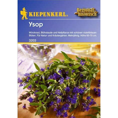 Kiepenkerl Ysop Hyssopus officinalis subsp. officinalis, Inhalt ca. 80 Pflanzen Blumensamen