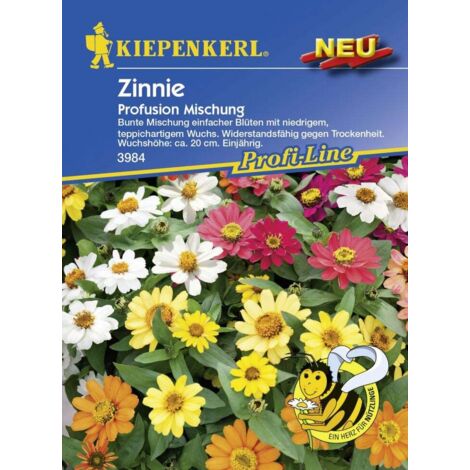 Kiepenkerl Zinnie Profusion Mischung Inhalt reicht für ca. 20 Pflanzen Keine Angabe