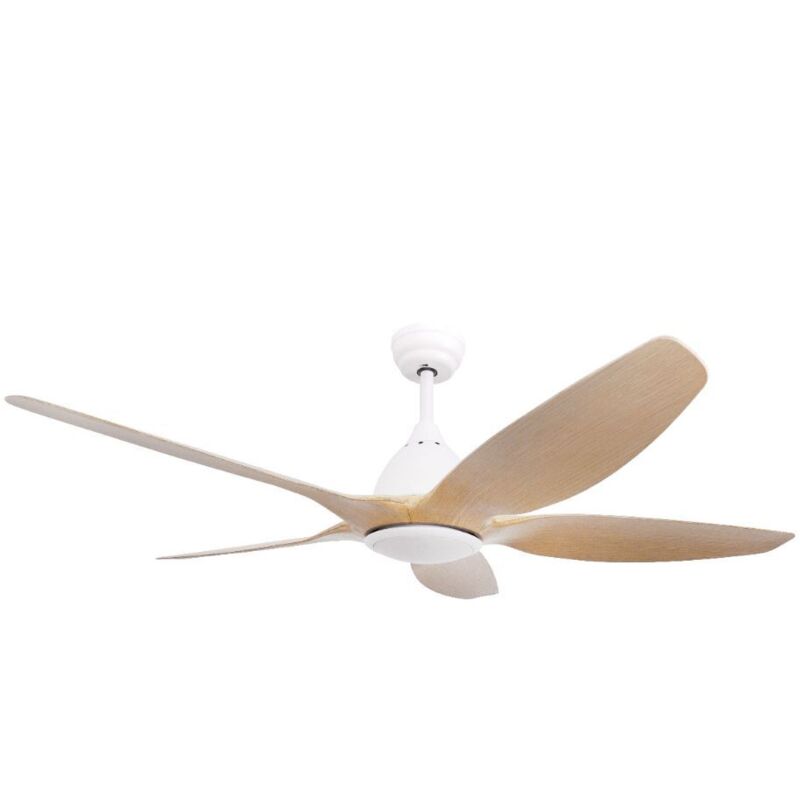 GSC - Kilwa ventilateur de plafond réglable et contrôle Ø152 dc Blanc