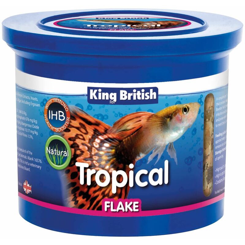 king british tropical fish food