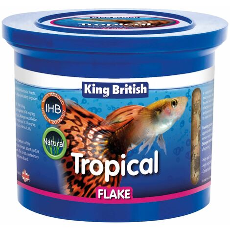 king british tropical fish food