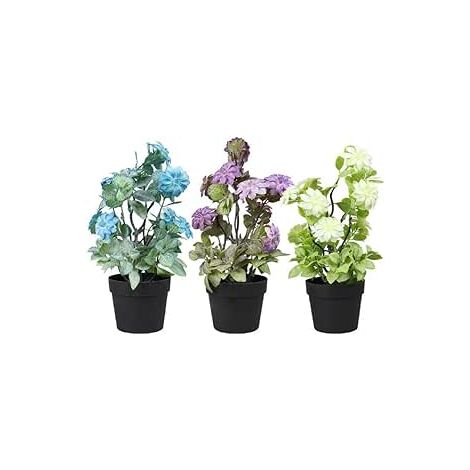 KING HOME  PIANTINE ARTIFICIALI SET 3 PZ IN SCATOLA TRASPARENTE DI ACETATO
