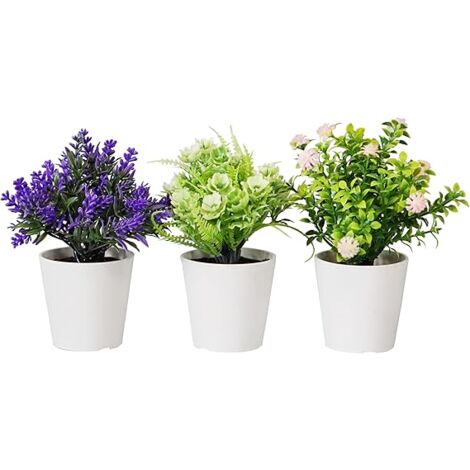 KING HOME PIANTINE ARTIFICIALI SET 3 PZ IN SCATOLA TRASPARENTE DI ACETATO