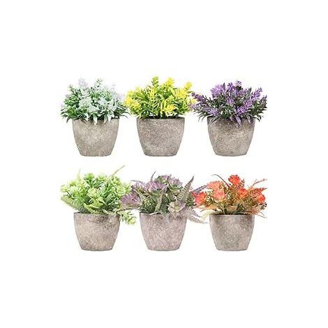 KING HOME  PIANTINE ARTIFICIALI SET 6 PZ IN SCATOLA TRASPARENTE DI ACETATO