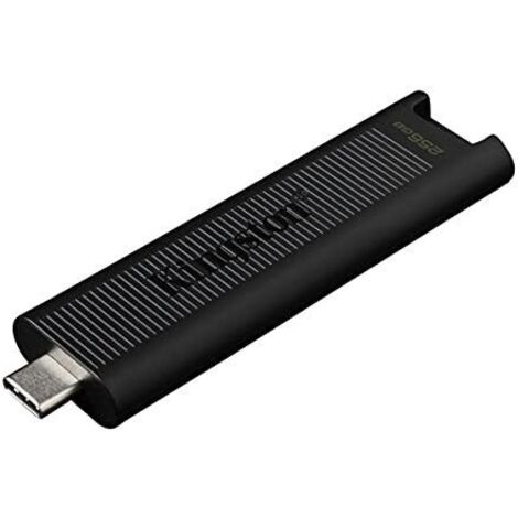 Kingston DataTraveler Max 256GB
