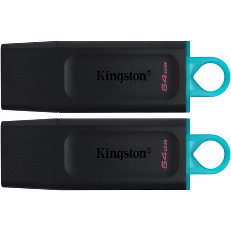KINGSTON Kingston DataTraveler Exodia DTX/64GB-2P Clé USB 3.2 Gen 1 - avec capuchon de protection et anneaux pour porte-clés de plusieurs couleurs (DTX/64GB-2P)
