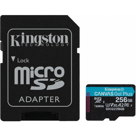 KINGSTON microSD256GB Canvas Go Plus ad KIN (SDCG3/256GB)