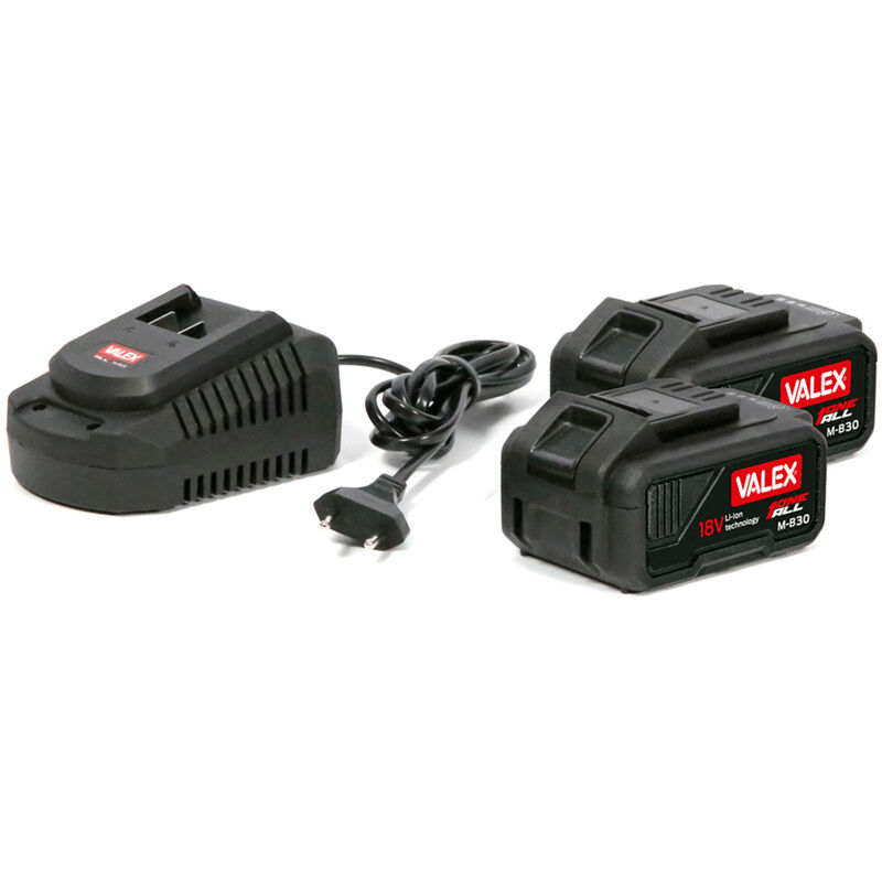 Kit 2 Batterie 88V E Caricabatterie Per Sega, Motosega, Decespugliatore ACD &amp; Shop