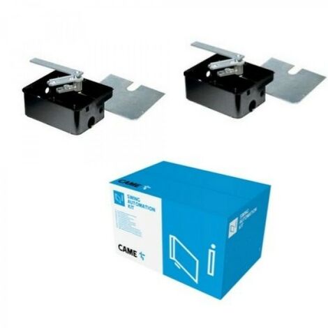 Kit 2 Pezzi Casse Di Fondazione Per Motori FROG Cancelli Battente